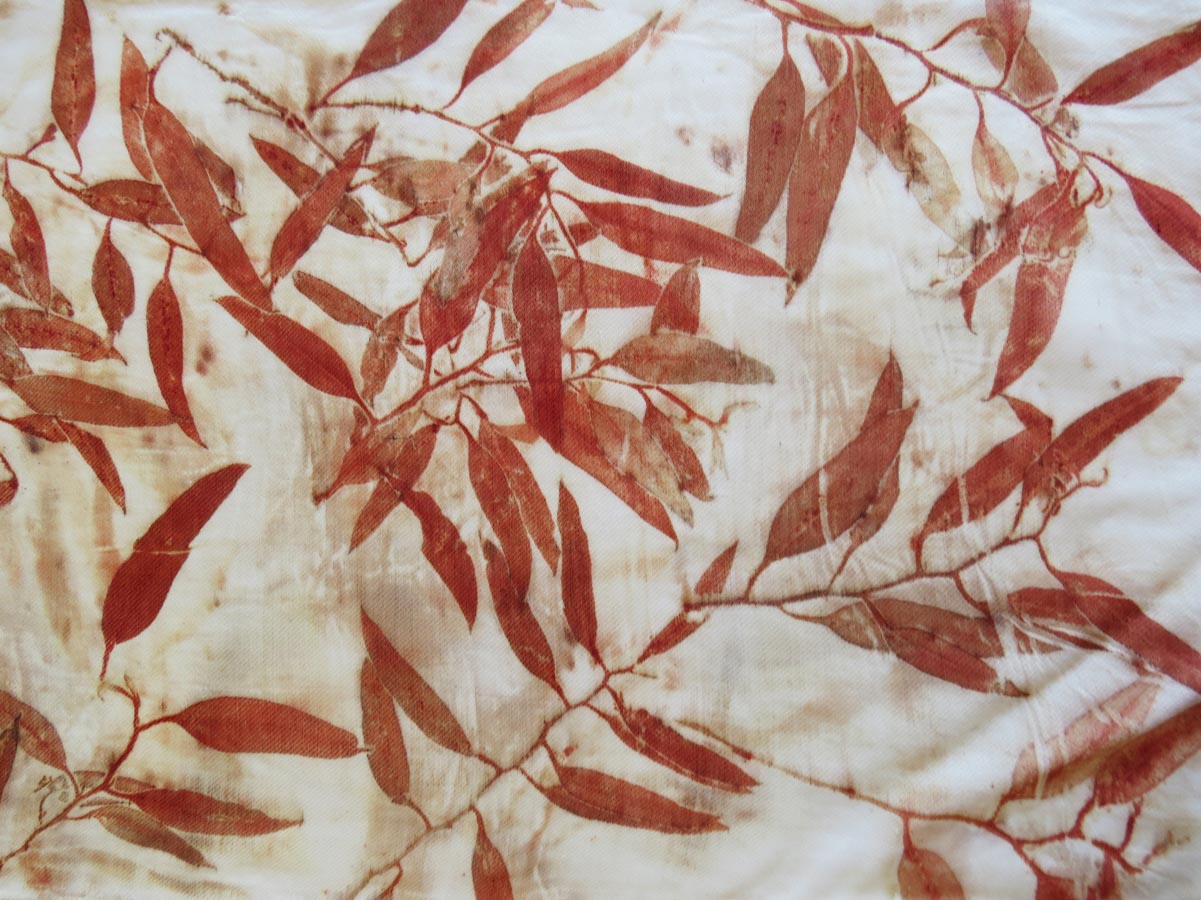 Natural Dyeing | Deborah Clarke